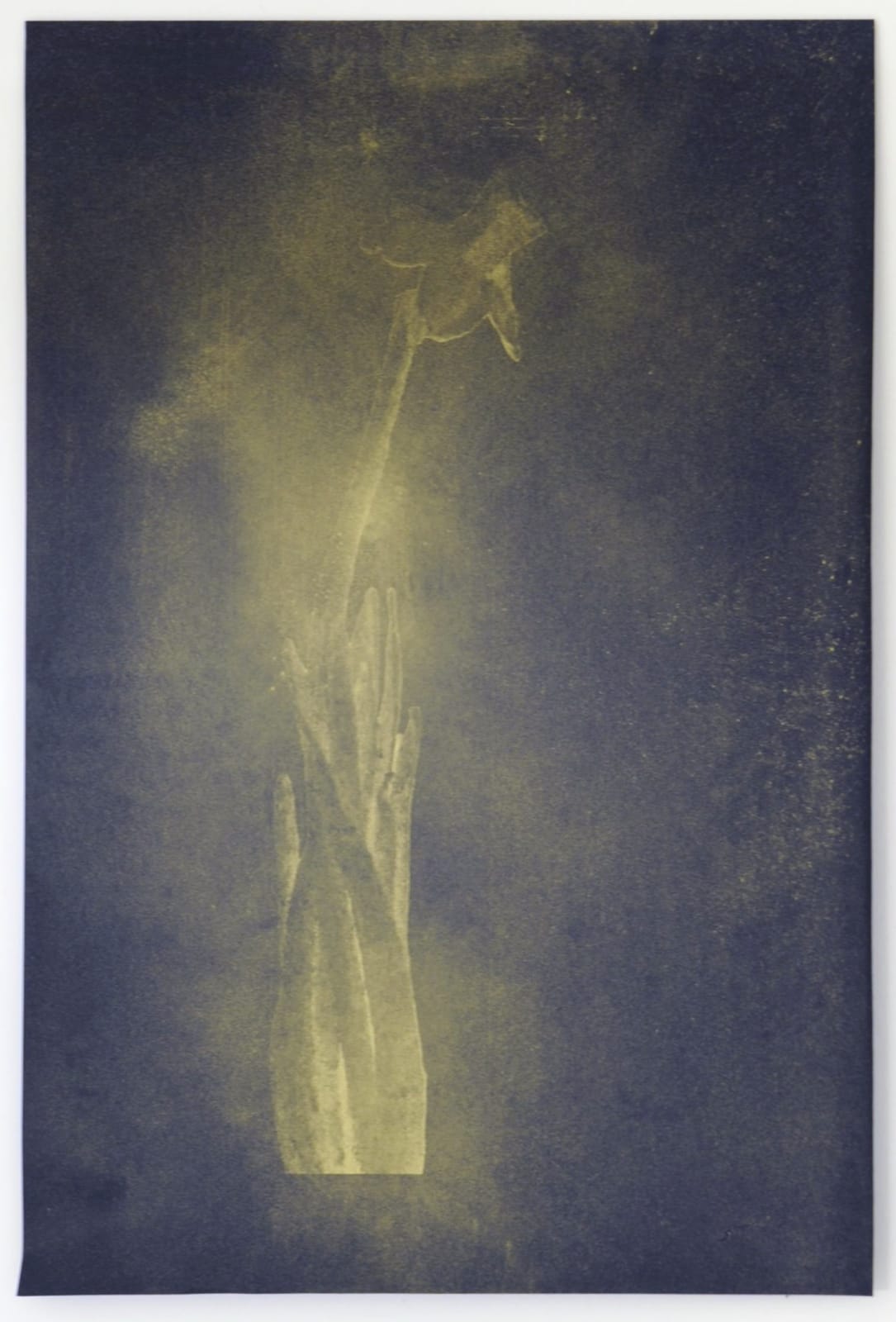 Nick Fox, Love's Sigh 8, 2012