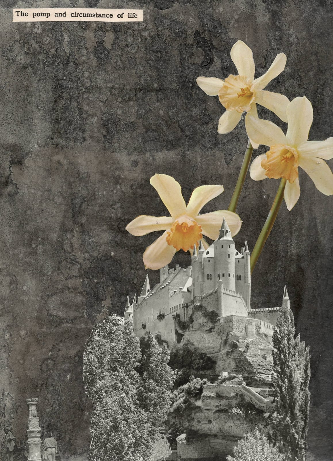 Andrew Hewish, The Pomp and Circumstances of Life, 2025