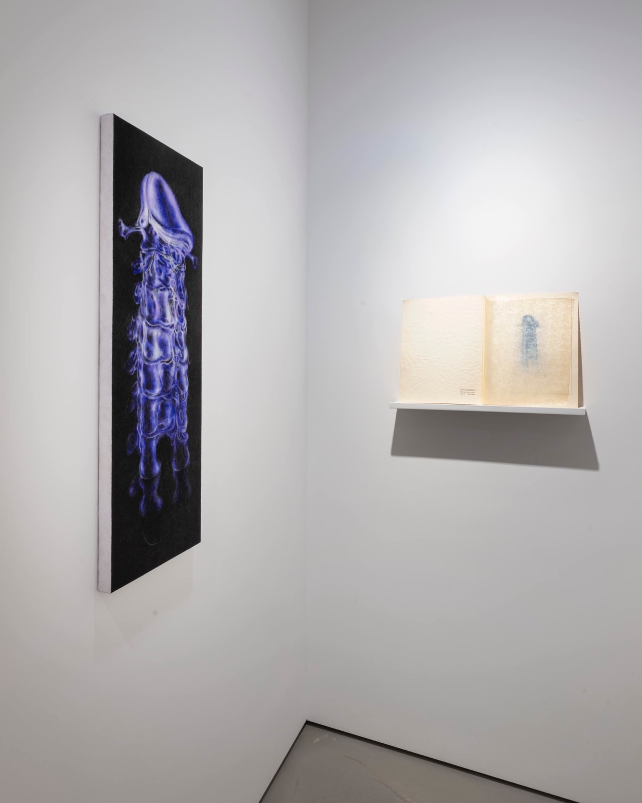 View of URANIA, 2025. 1 rue de Penthièvre, 75008, Paris, France “URANIA”展览现场, 2025年. 法国巴黎. Image courtesy of Galerie Jocelyn Wolff