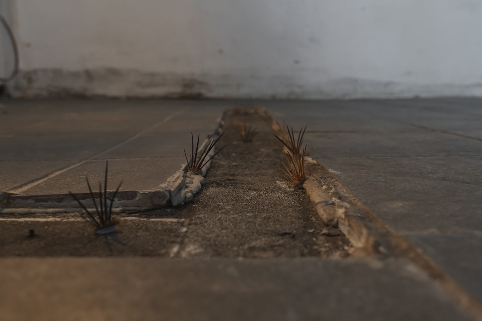 Photo: CJY ART STUDIO