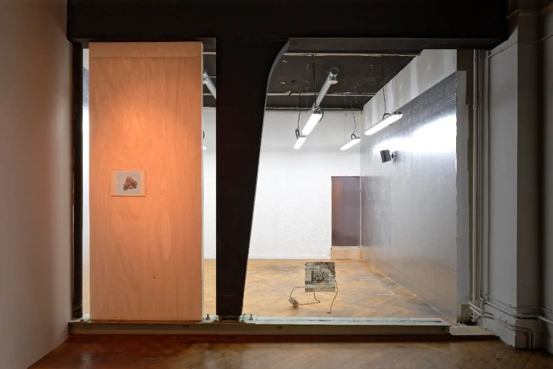 View of “the 16th Lyon Biennale of Contemporary Art: Manifesto of Fragility”, 2022. The Guimet Museum, Lyon, France “第 16...