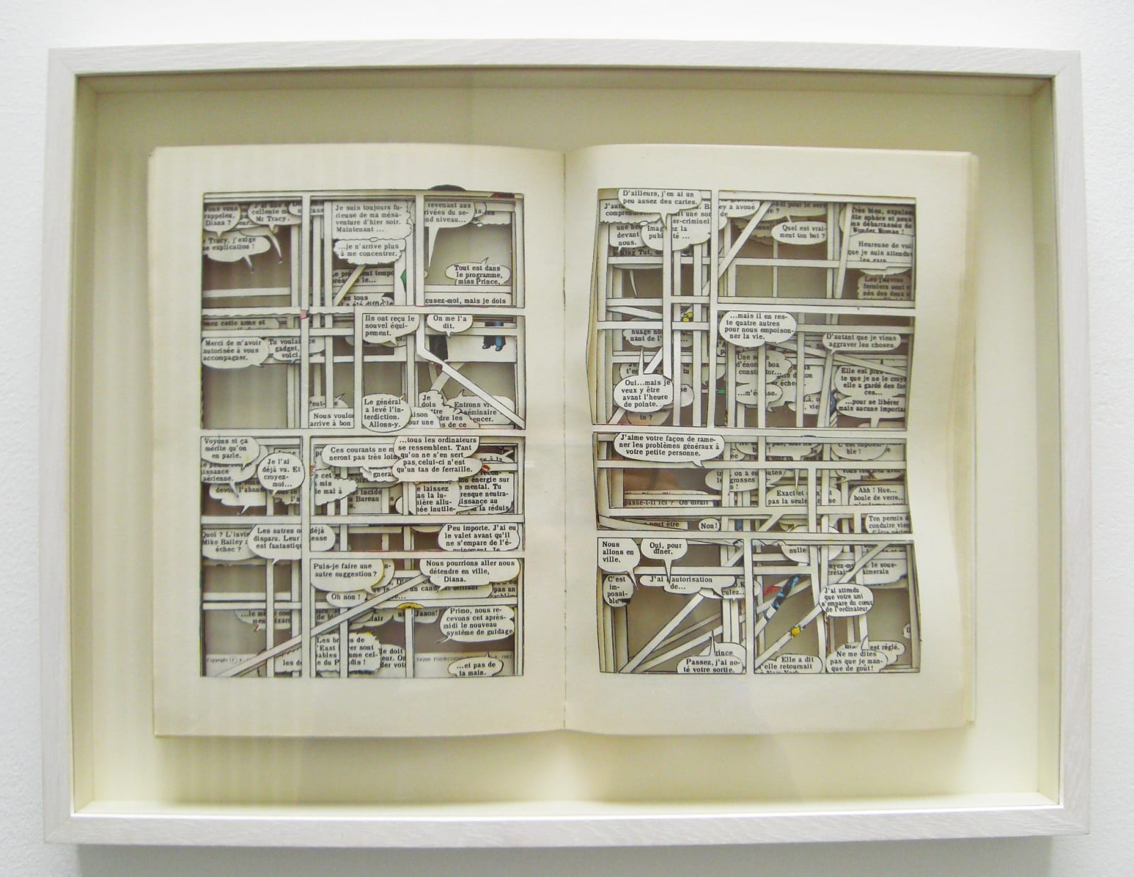 Claire Morel, Agression Mentale, 2013