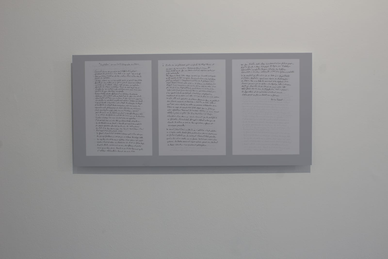 Fabrice Michel, Implications ( Emilie Robert ), 2023