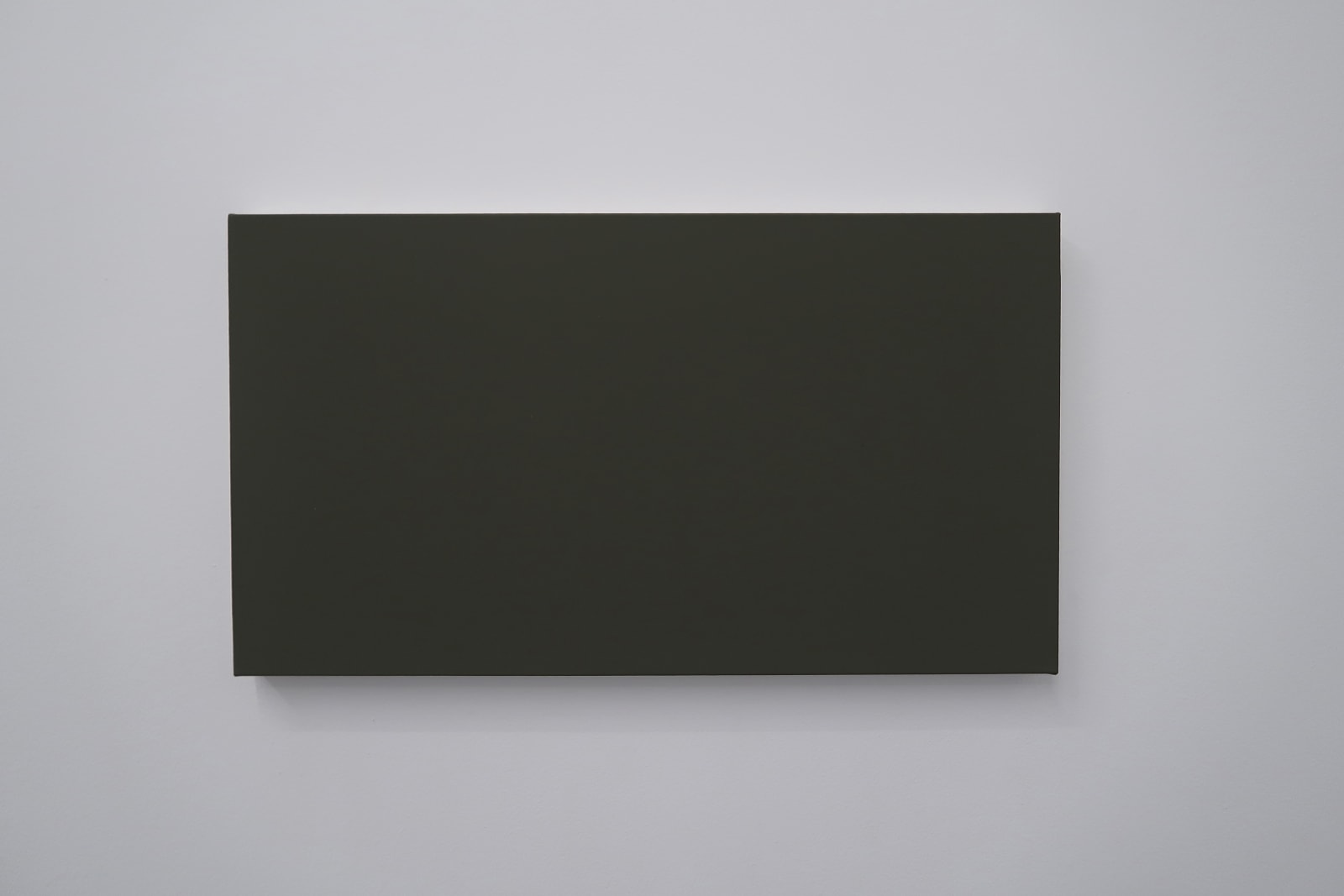 Ignasi Aballí, Image 20 : Les visiteurs du musée du Louvre à Paris photographient La Joconde avec leur téléphone portable, 2023