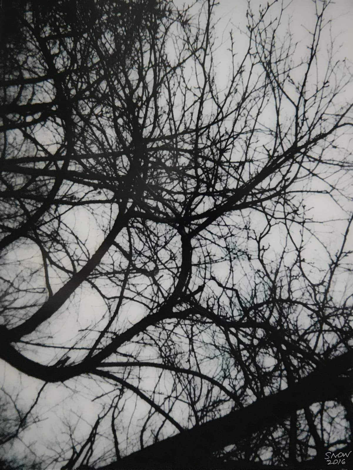 Michael Snow, En haut / Poplar Plains Crescent, 2016