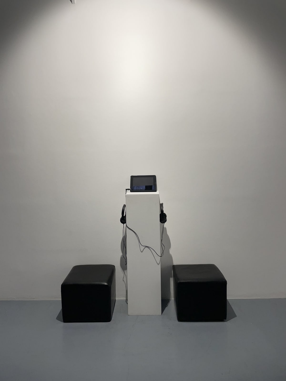 Michael Snow, Sinoms, 1989