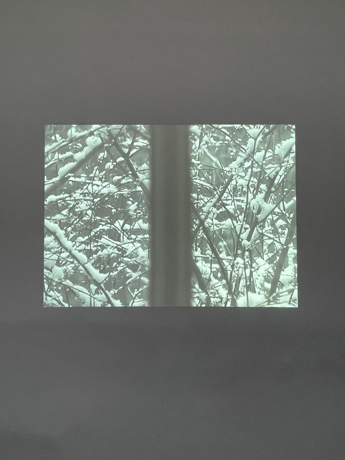 Michael Snow, Snow (De, A, Pour Thierry), janv. 2002-oct. 2007