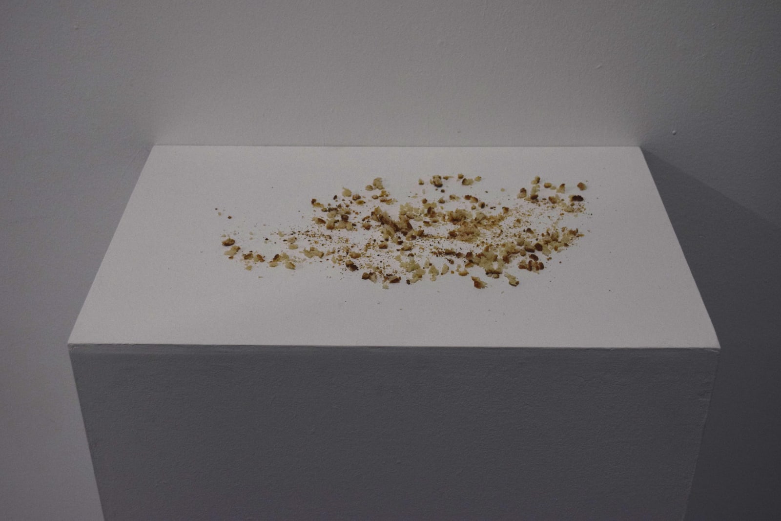 Wilfred Prieto, Las migajas de pan también son pan / bread crumbs are also bread, 2011