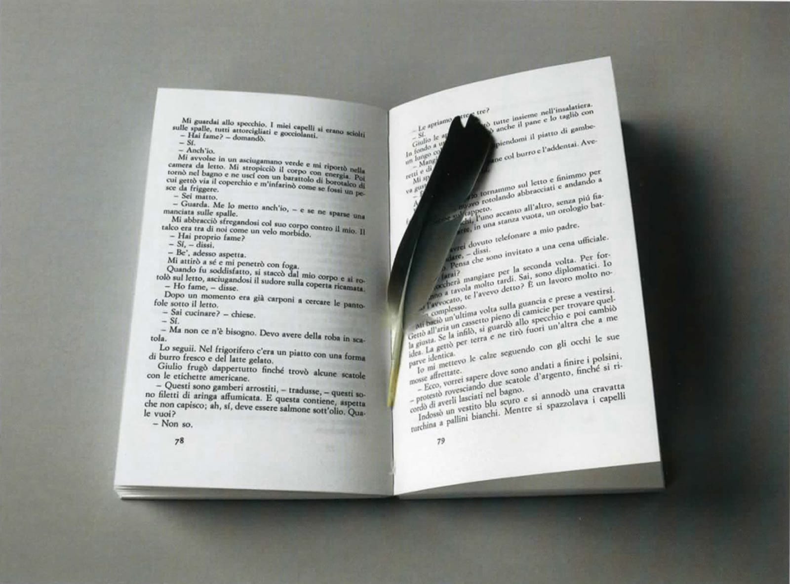 Hans-Peter Feldmann, Book with plume