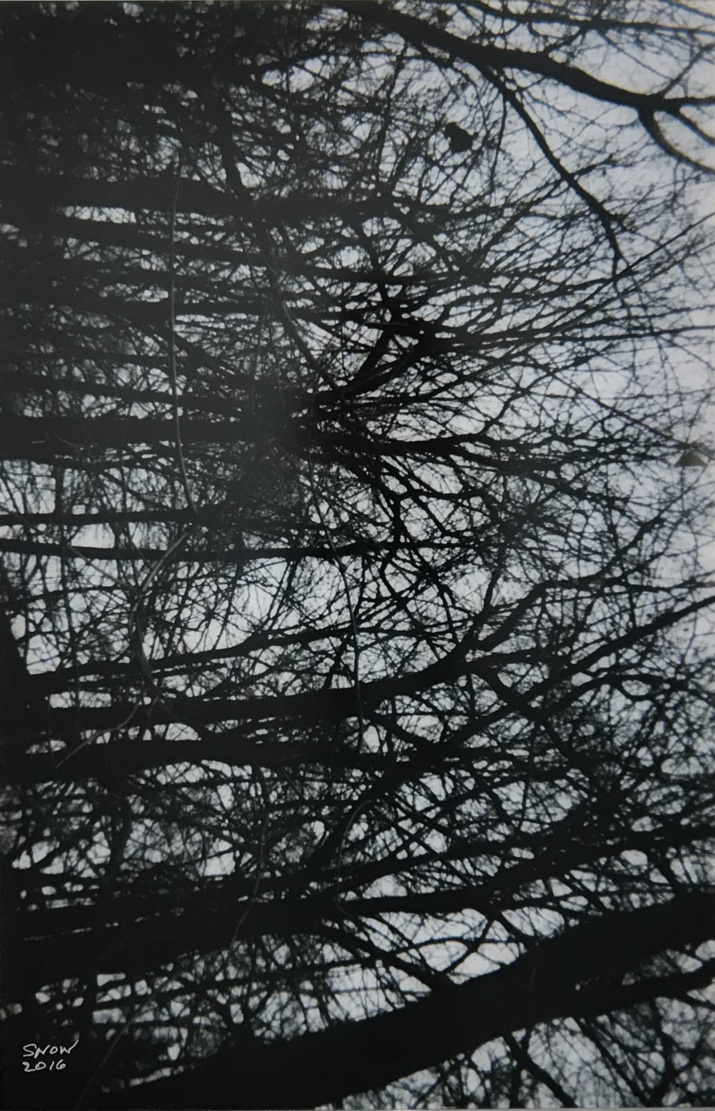 Michael Snow, En haut / Rathnelly Avenue, 2016