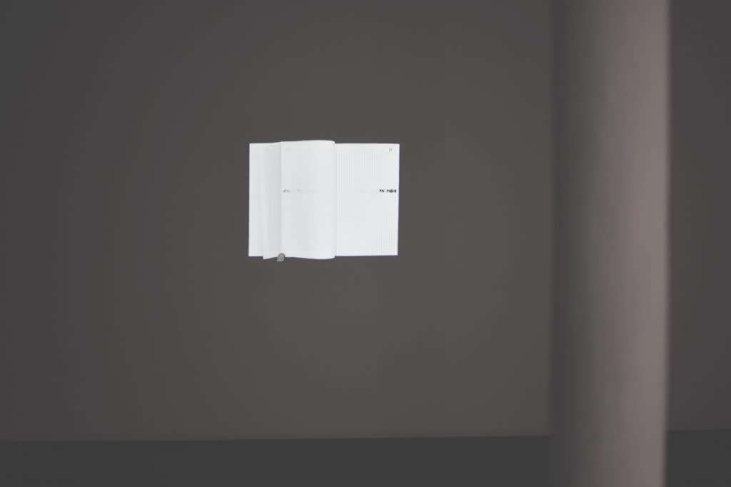 Maria Laet, DUPLI AUTOCOPIANT (VAI PASSAR), 2016