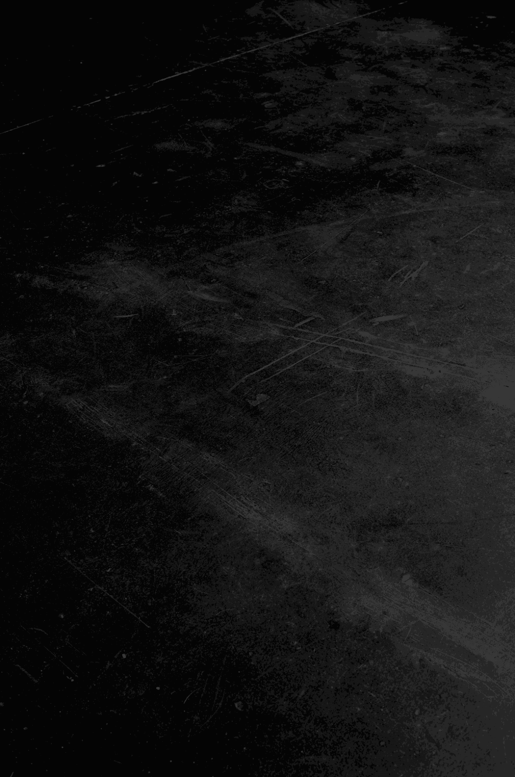 Alejandro Cesarco, Figure With Shadow (Stage I), 2022