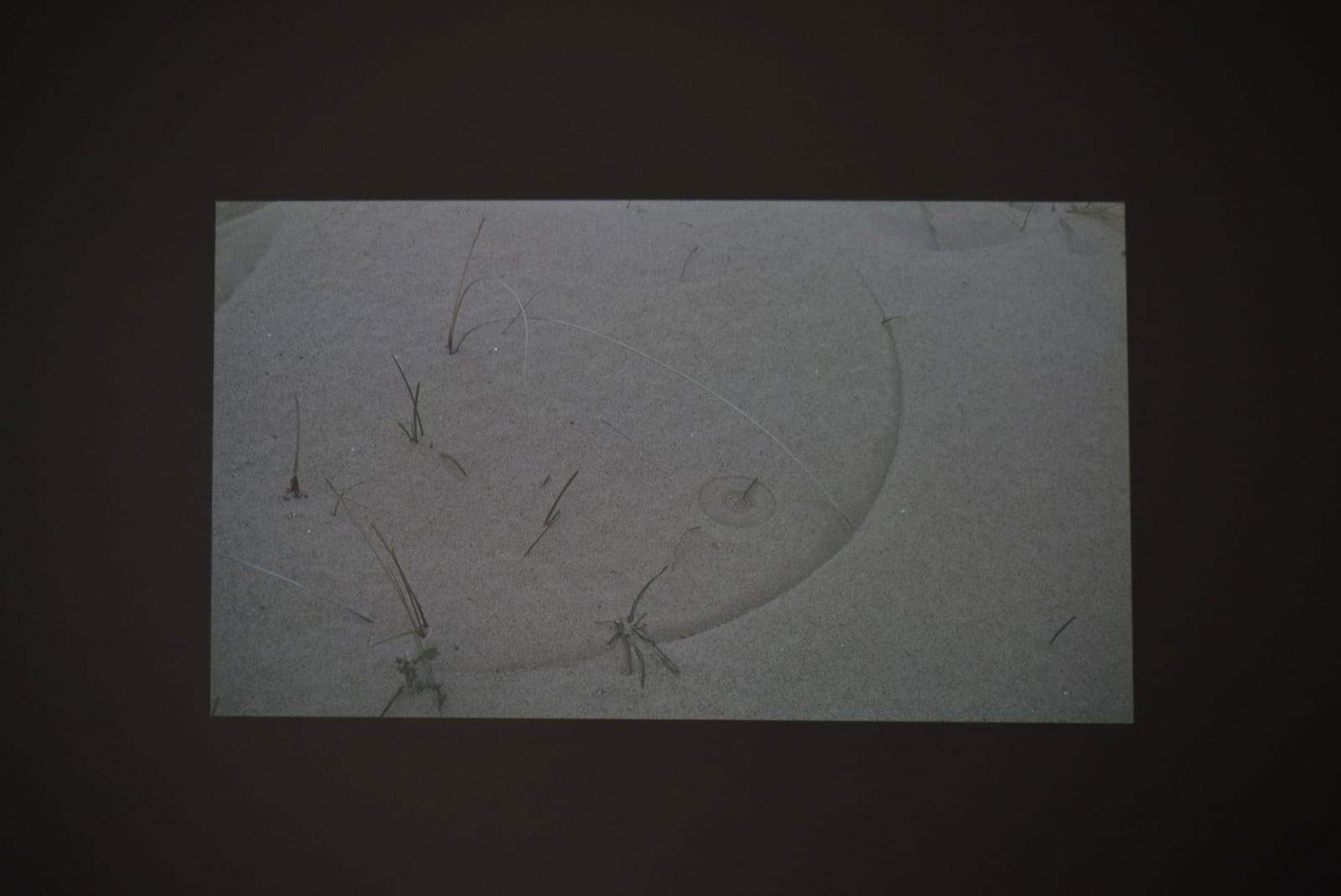 Ismail Bahri, Des gestes déposés dans un paysage agité, 2018