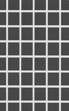 Suzanne Doppelt, Amusements de mécanique , 2014