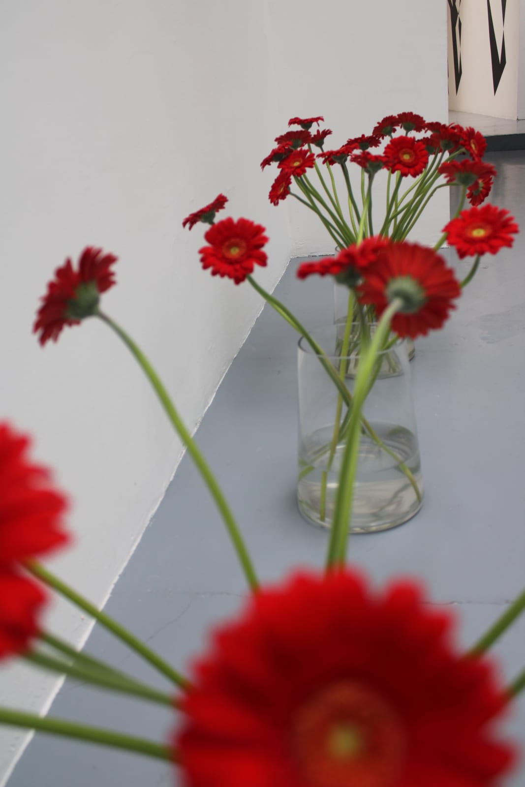 Detanico Lain, Jeu , 2021