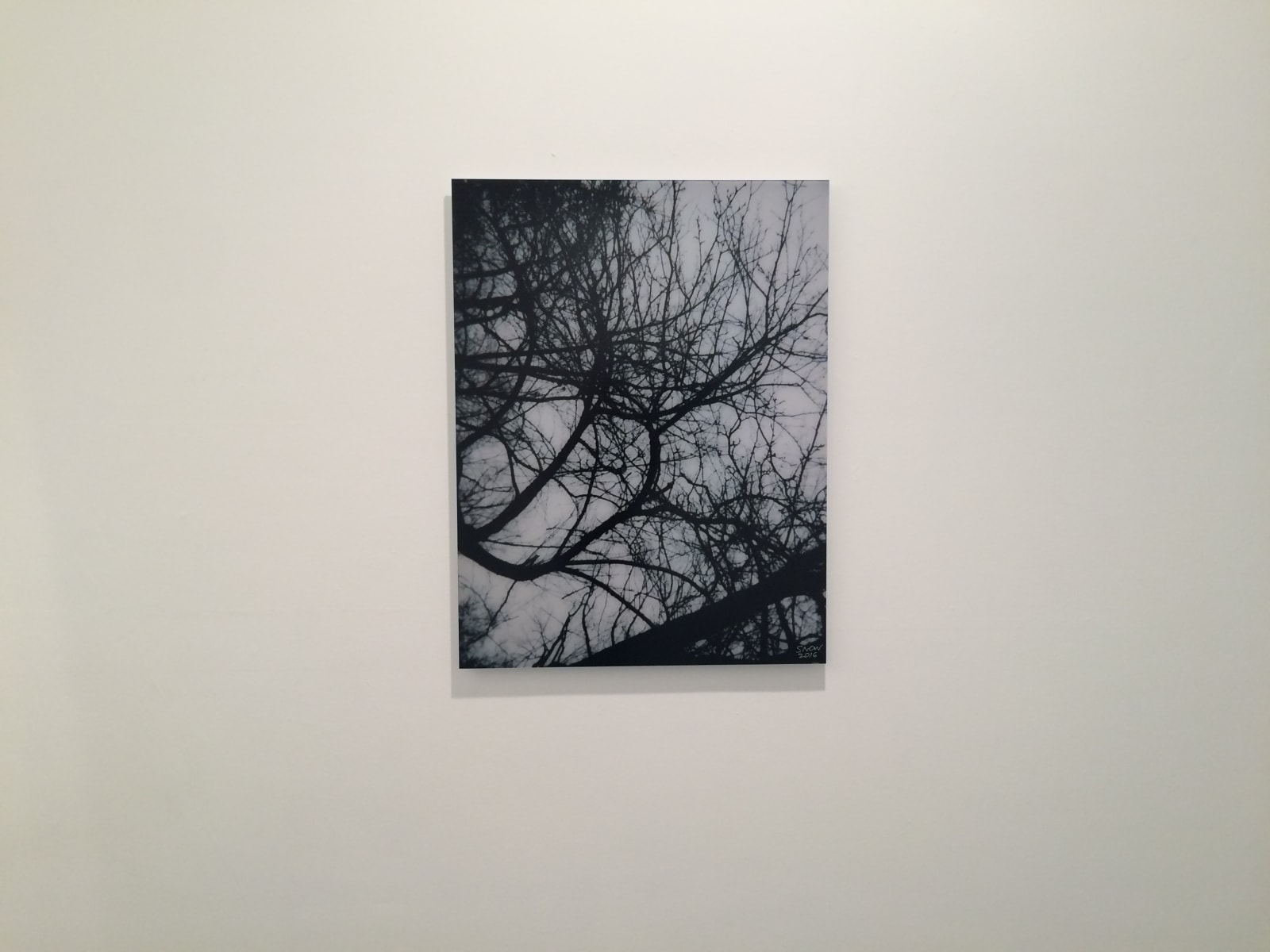 Michael Snow, En haut / Poplar Plains Crescent, 2016