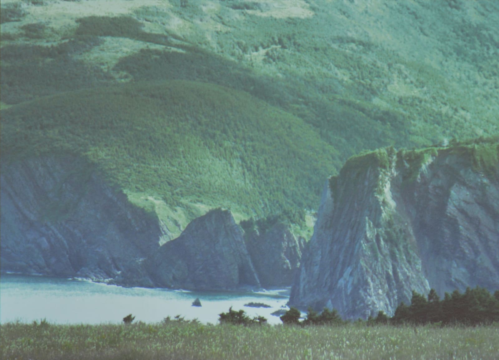 Michael Snow, Condensation / A Cove Story, 2008