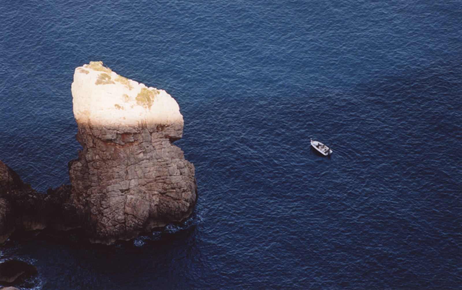 Daniel Gustav Cramer, Tales (Es Colomer, Formentor, Mallorca, October 2021), 2022