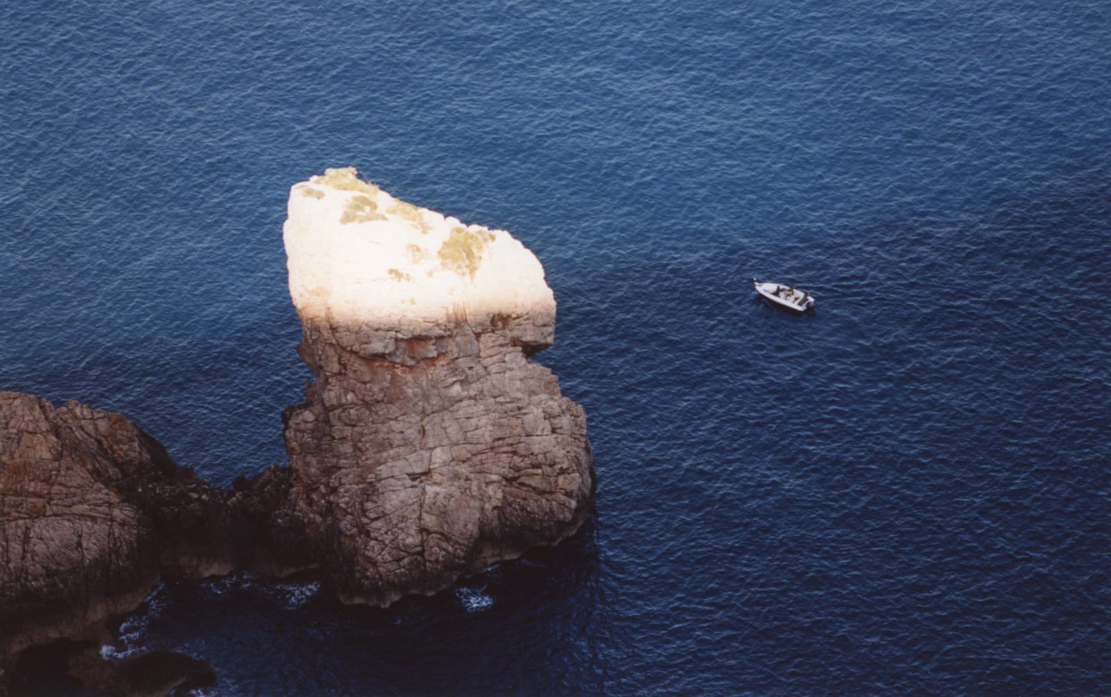 Daniel Gustav Cramer, Tales (Es Colomer, Formentor, Mallorca, October 2021), 2022