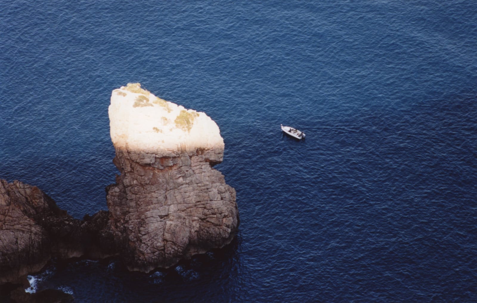 Daniel Gustav Cramer, Tales (Es Colomer, Formentor, Mallorca, October 2021), 2022