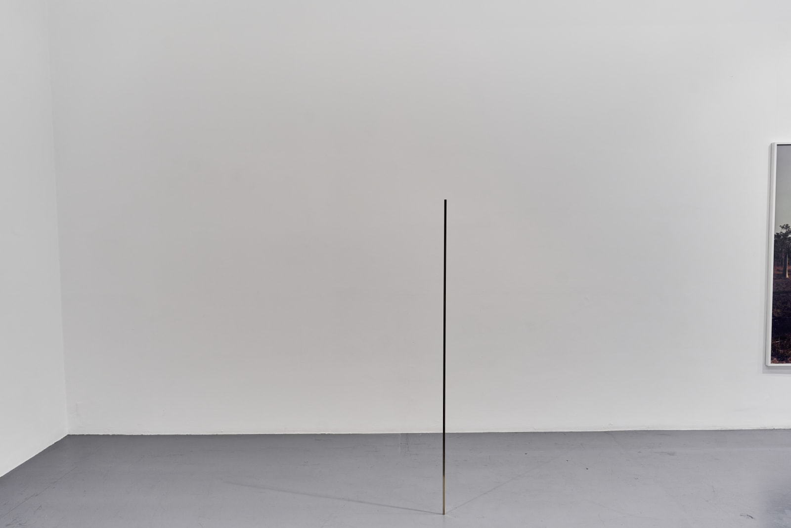 Daniel Gustav Cramer, Our Average Height, 2021 - 2022