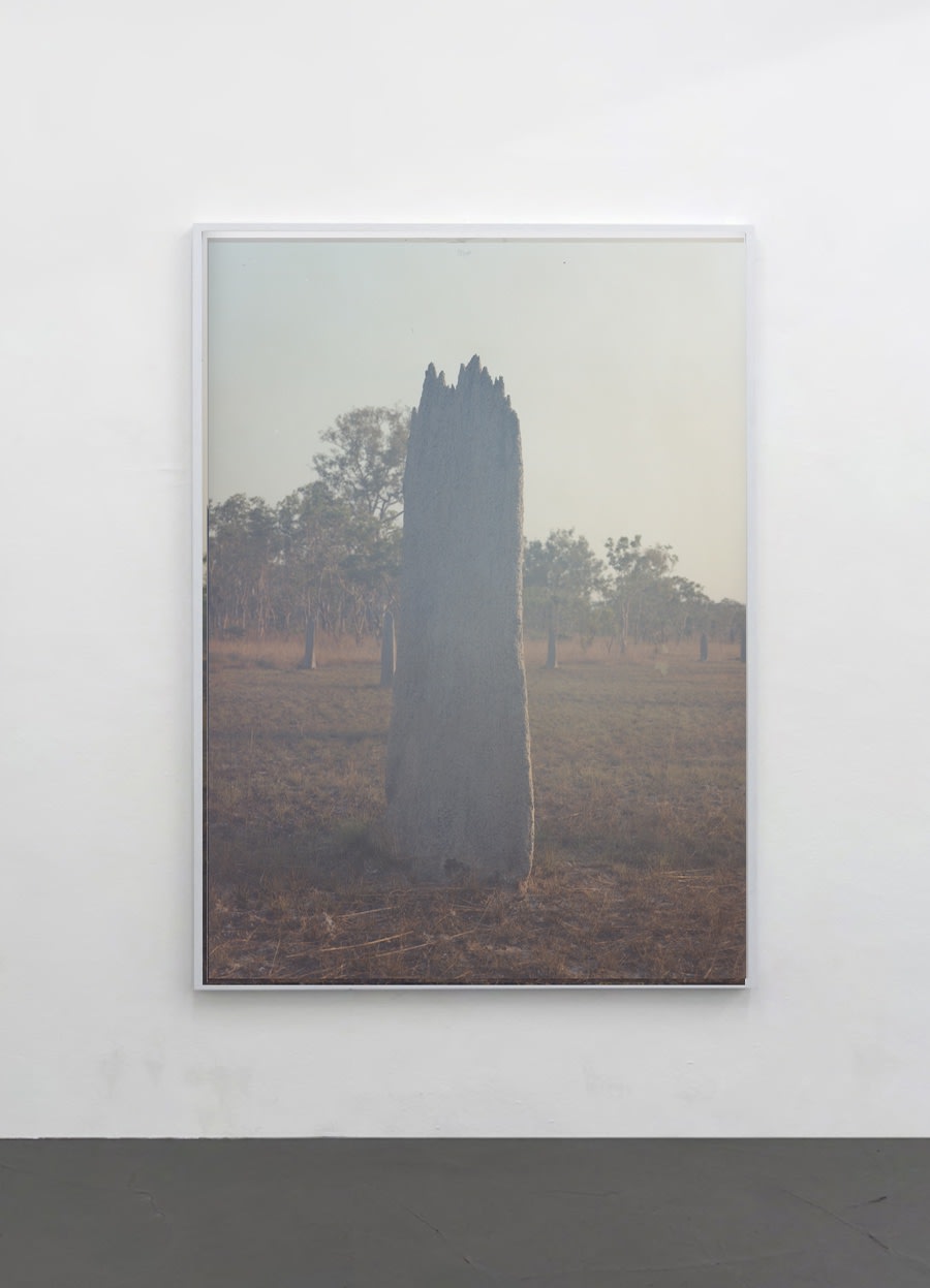 Daniel Gustav Cramer, Untitled (Termite Mound) series, 2022