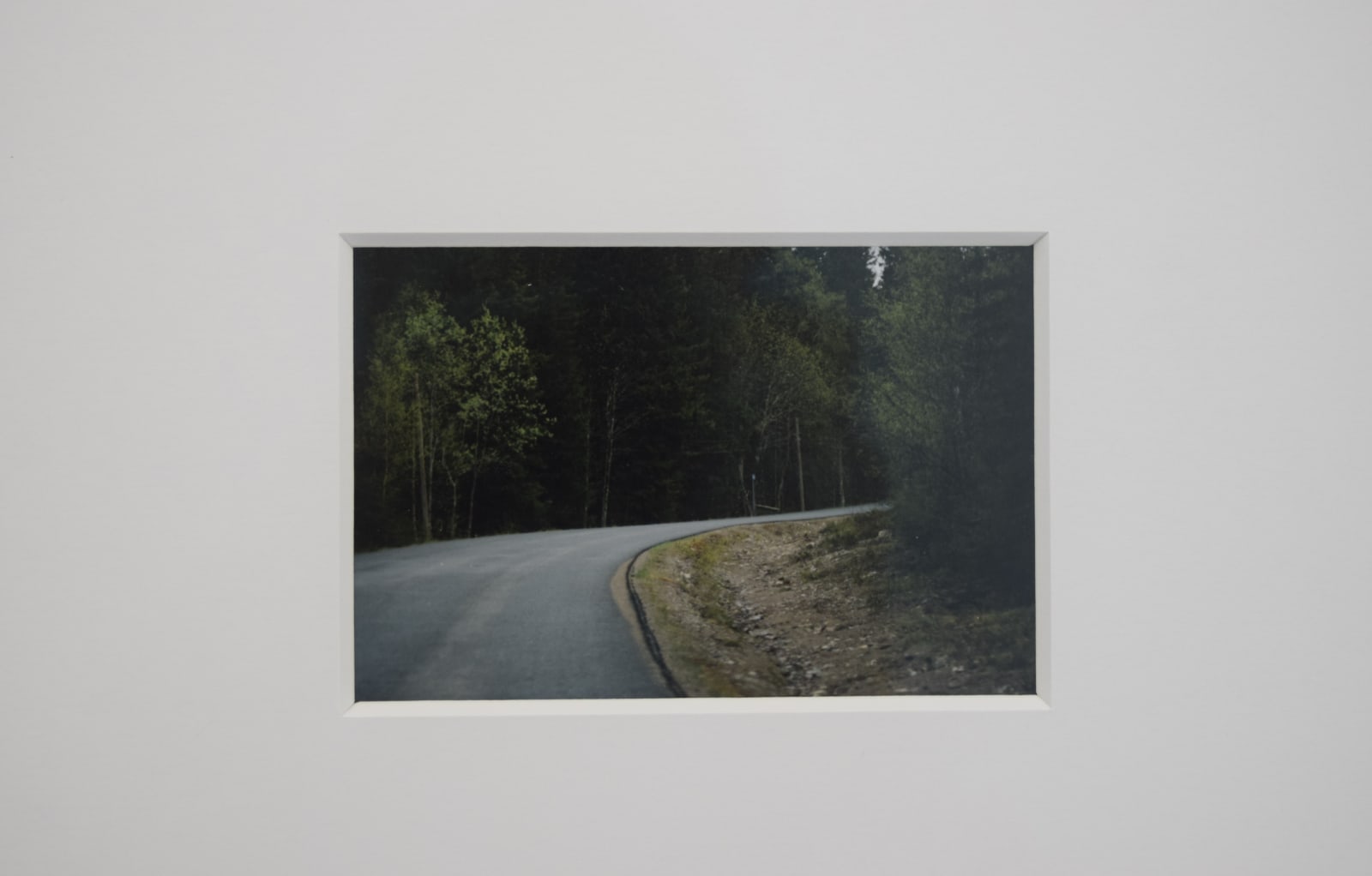 Daniel Gustav Cramer, Moose, 2017