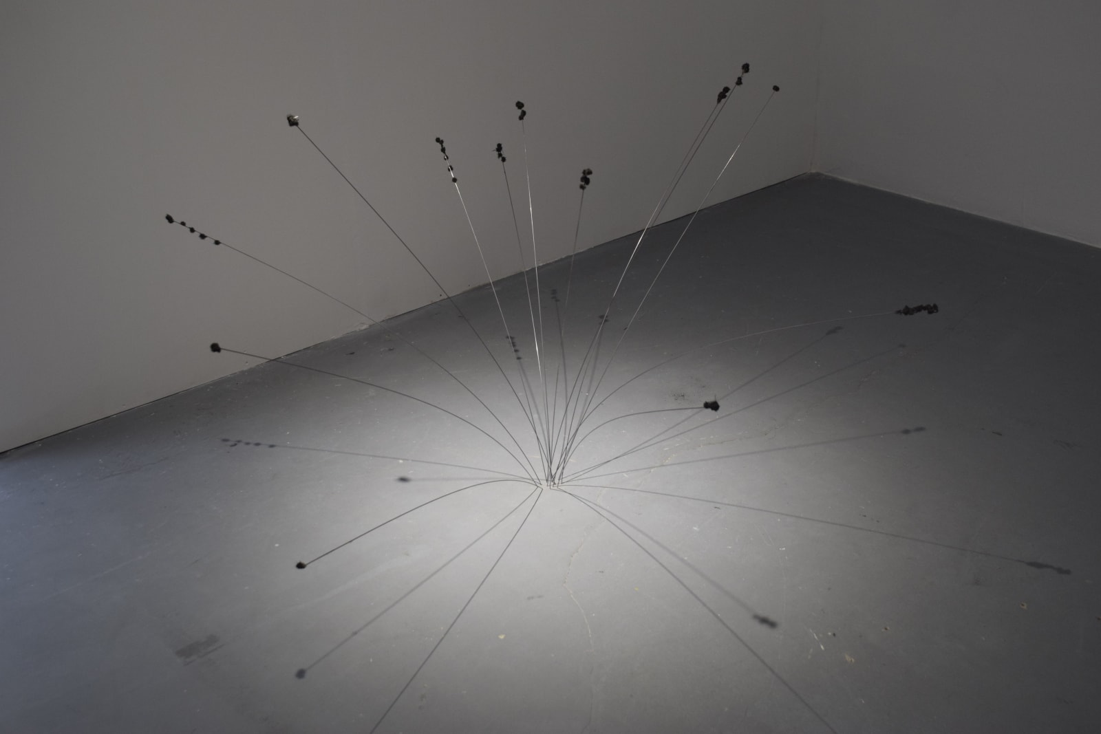 Berdaguer & Péjus, Fleurs d'Atelier, 2020