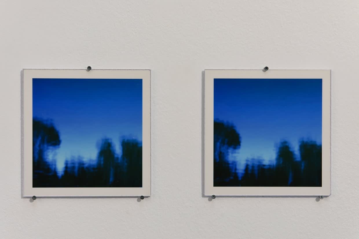 Spencer Finch, Mistral (Avignon), 2009