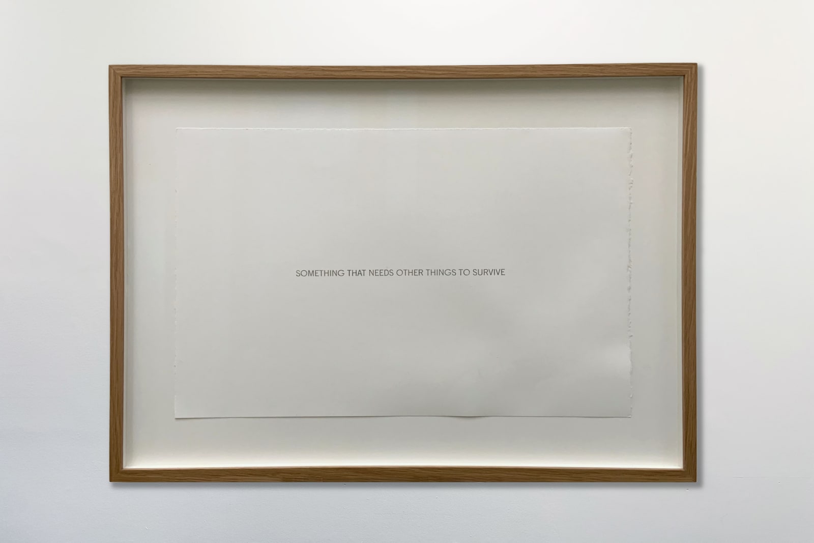 Robert Barry, Something that needs other things to survive, 2013