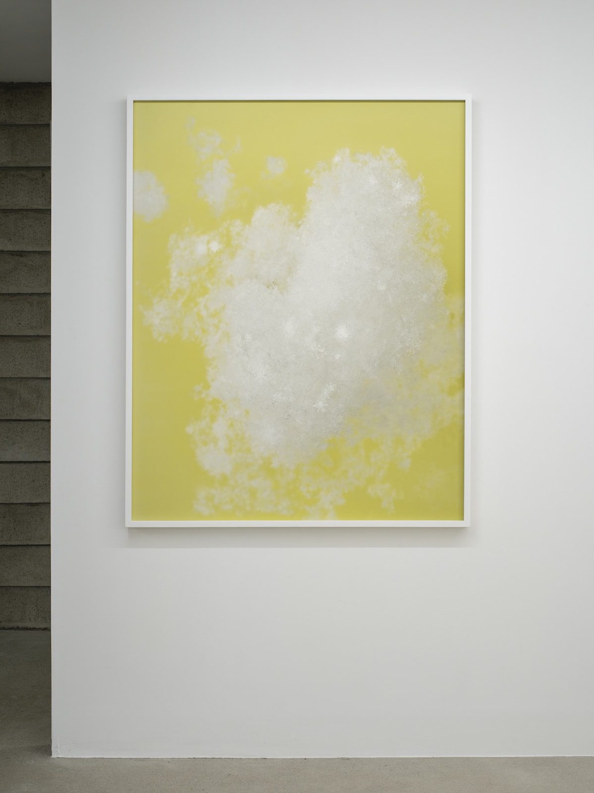 Installation view: Skin and Skeleton, Primary Practice, 2023. Courtesy of Primary Practice