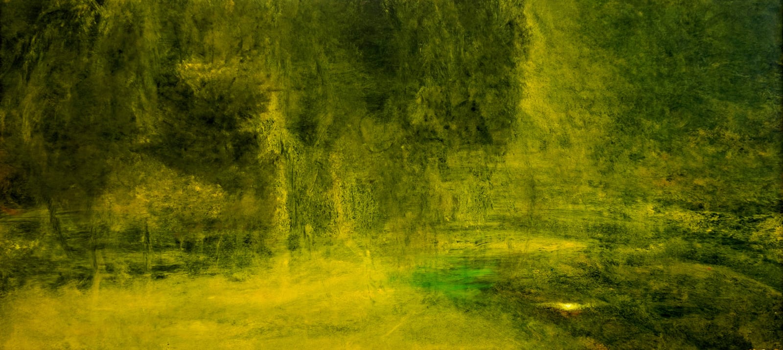 Untitled, 2022, oil on gesso classic, 55 x 119 cm