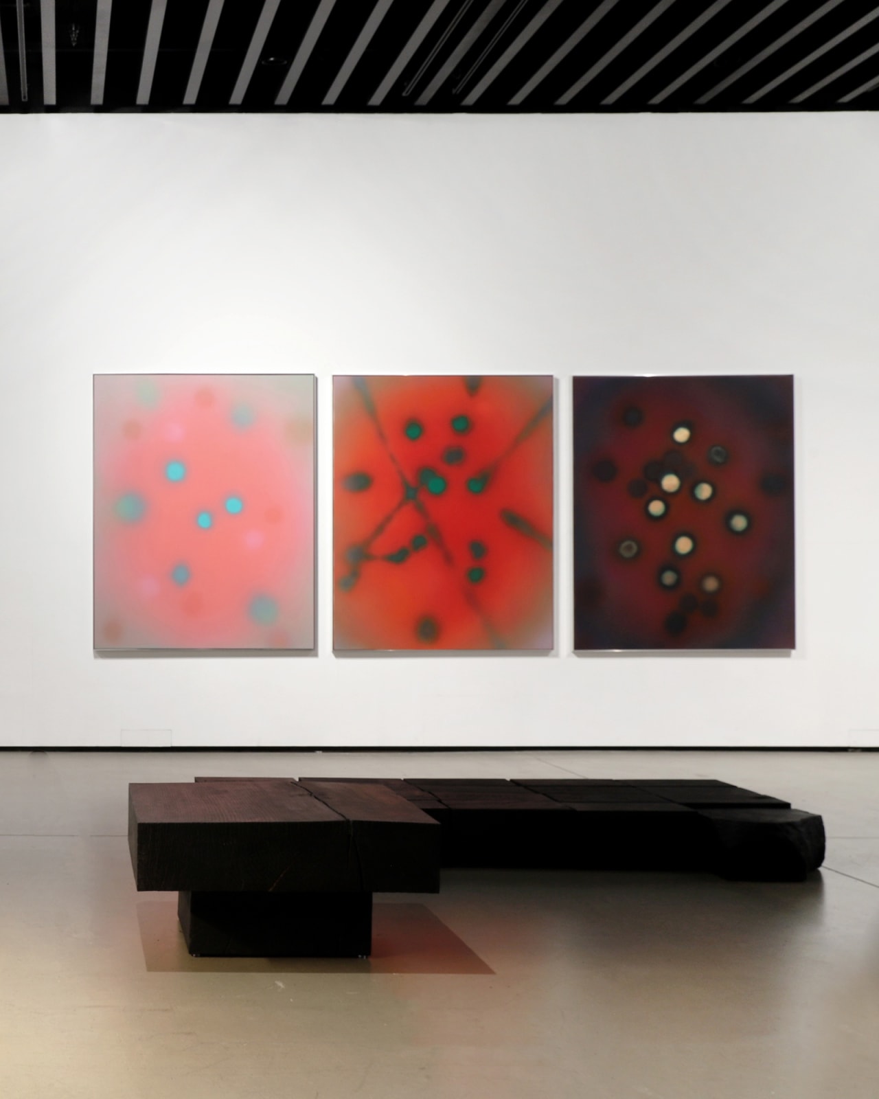Installation view: Metamorphosis, Kim Chong Yung Museum, 2024