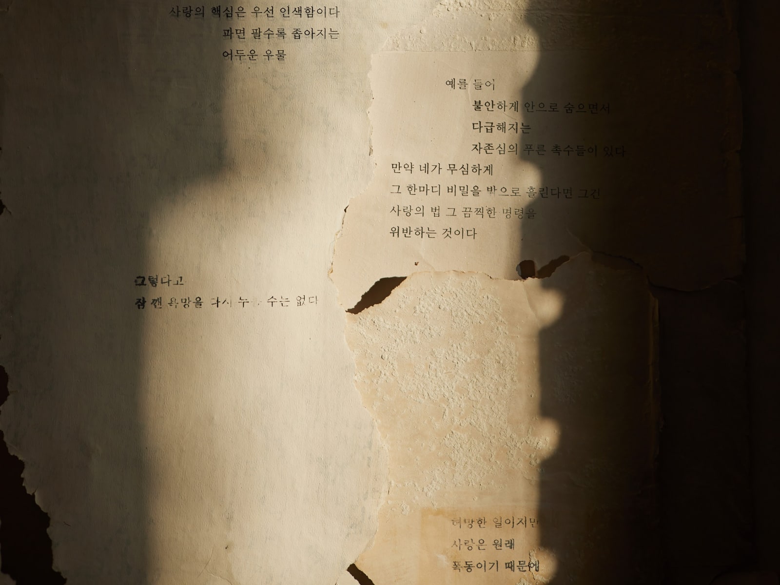 Southpaw, 2023, mixed media, 13min (loop), commissioned by Seoul Museum of Art