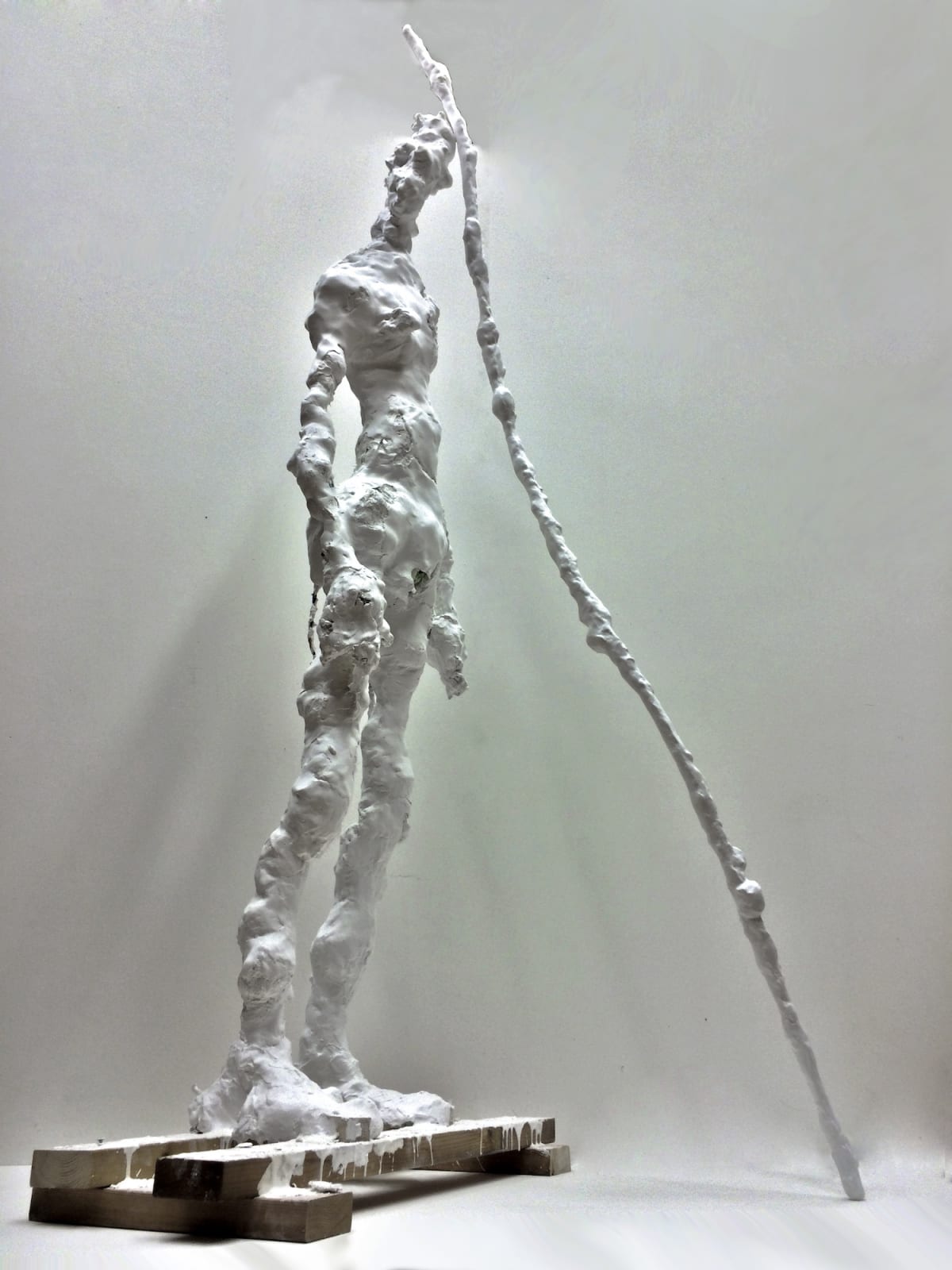 Form, 2014, mixed media, 80 x 175 x 50 cm