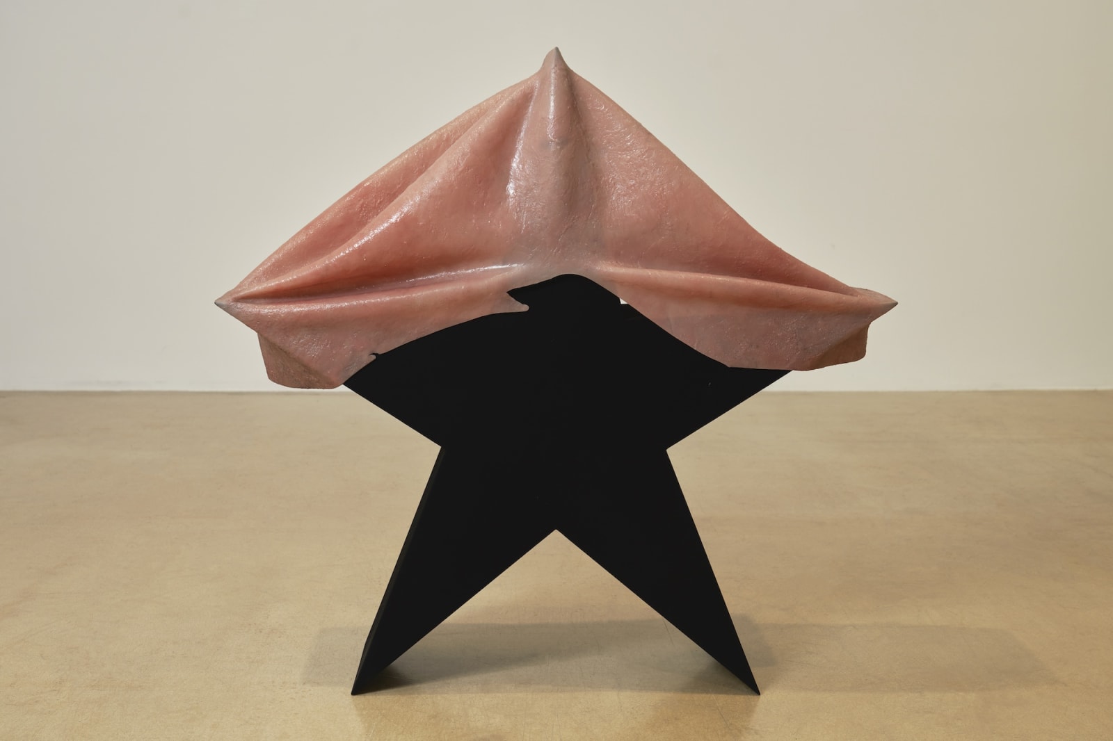 Me, No, 2021. silicone, polyester transparent thread, metal(+powder coated), musou black, The volume of each work from the series 'Me, No' is the same. (approx. 65,416㎤), Edition of 1, 1 AP.