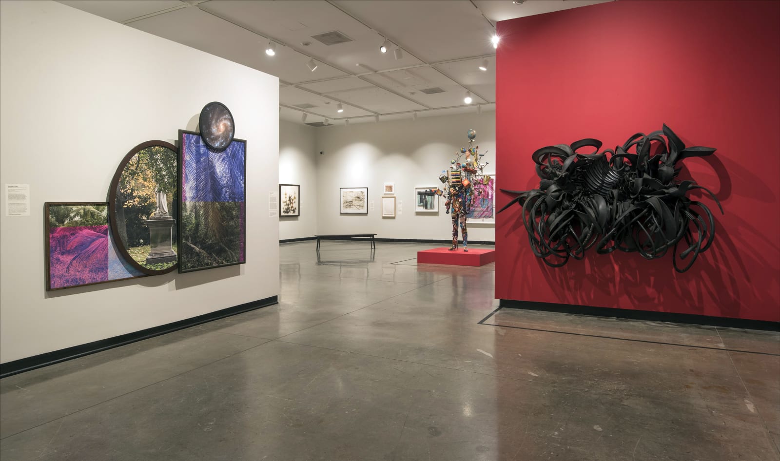 Installation view of Century: 100 Years of Black Art at the Montclair Art Museum
