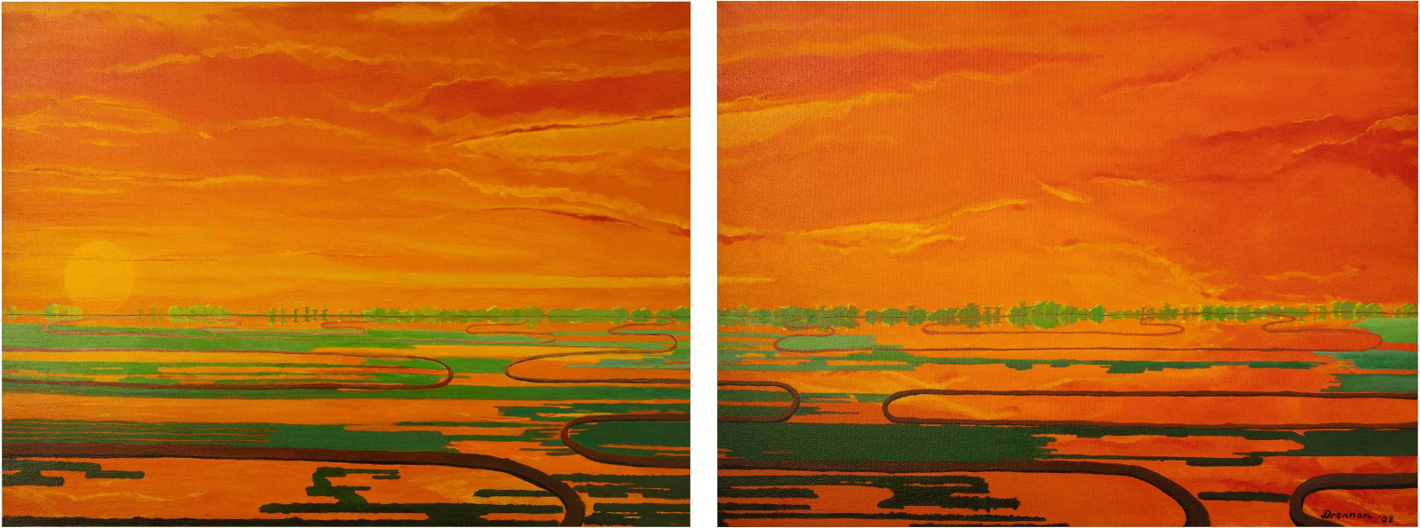 Flooded Rice Field Near Bayou LaGrue, Arkansas