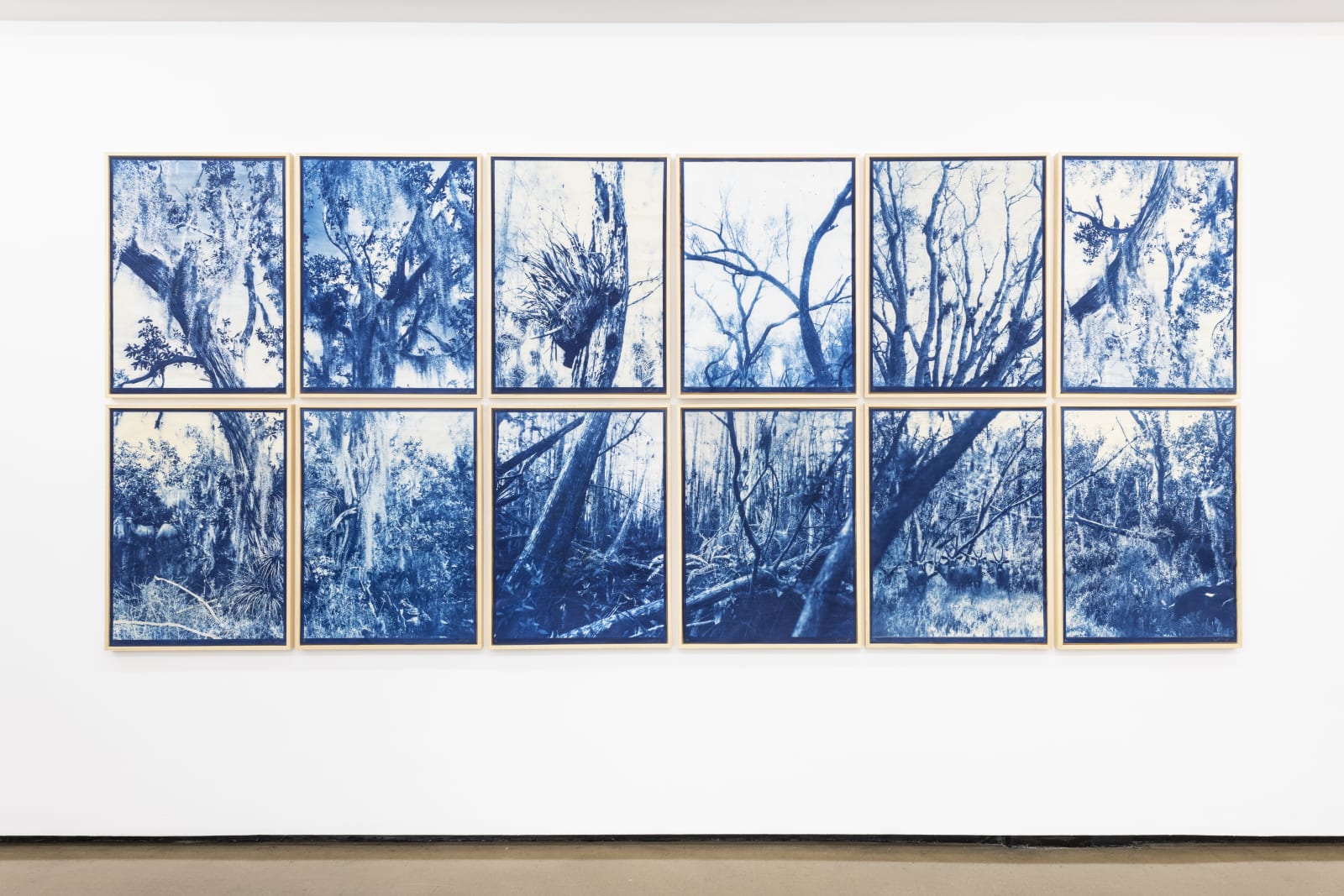 KRISTINA CHAN & ITAMAR FREED, Dreams In Blue, 2019