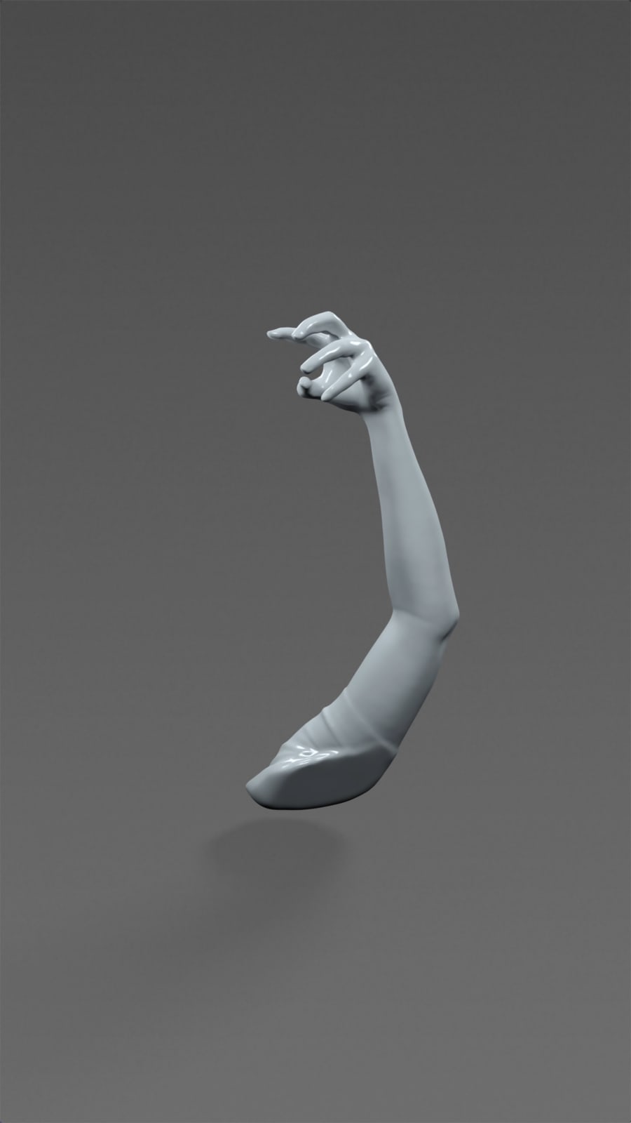 KIM NUIJEN, Selfie Hand Anatomy, 2018