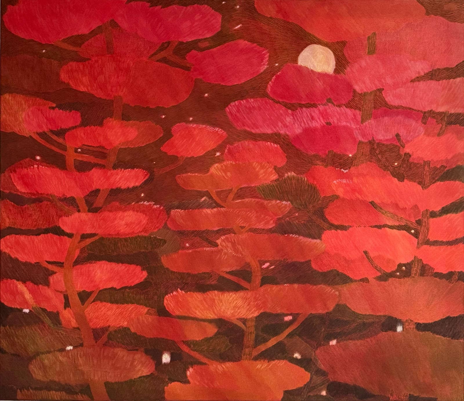 LUCY MAHON, Cloud Forest, 2025