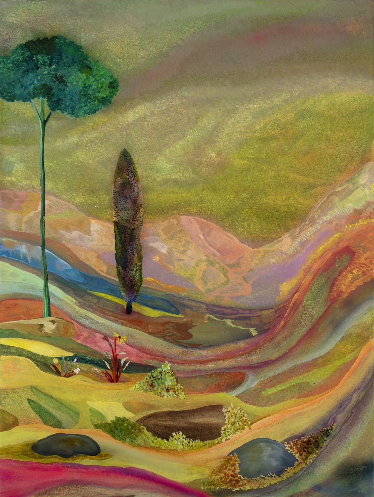 ROSS TAYLOR, Middlemist, 2022