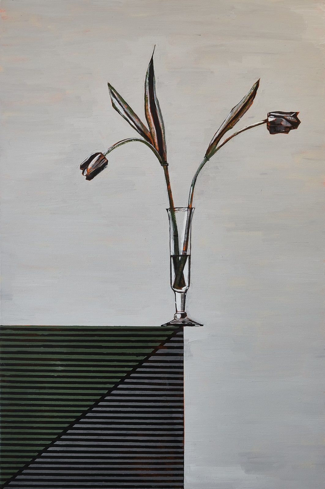 Don Hershman, Still LIfe - Serenity #5, 2025