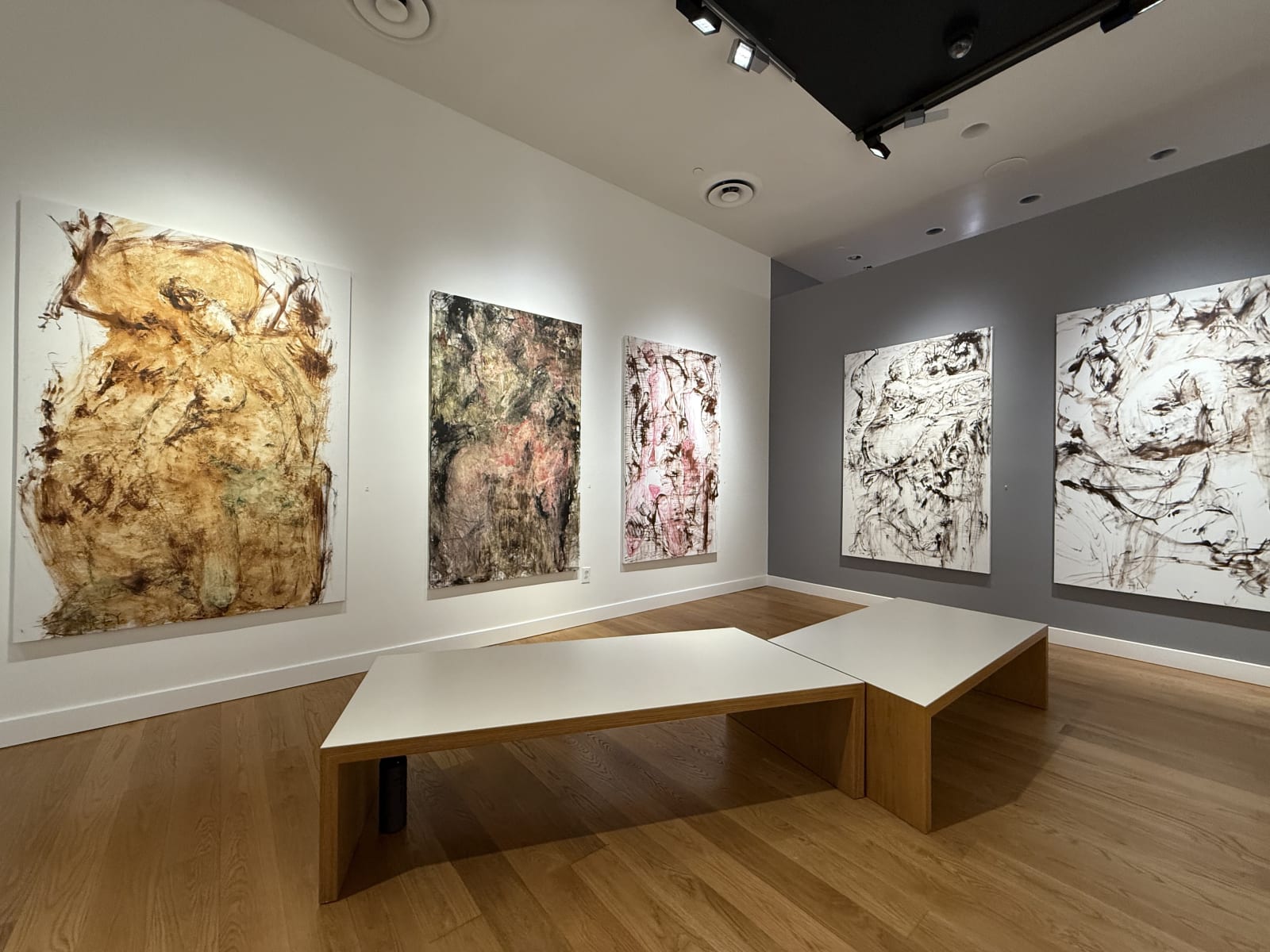 Lana Fly, When the Breeze Catches Your Hair, 2024