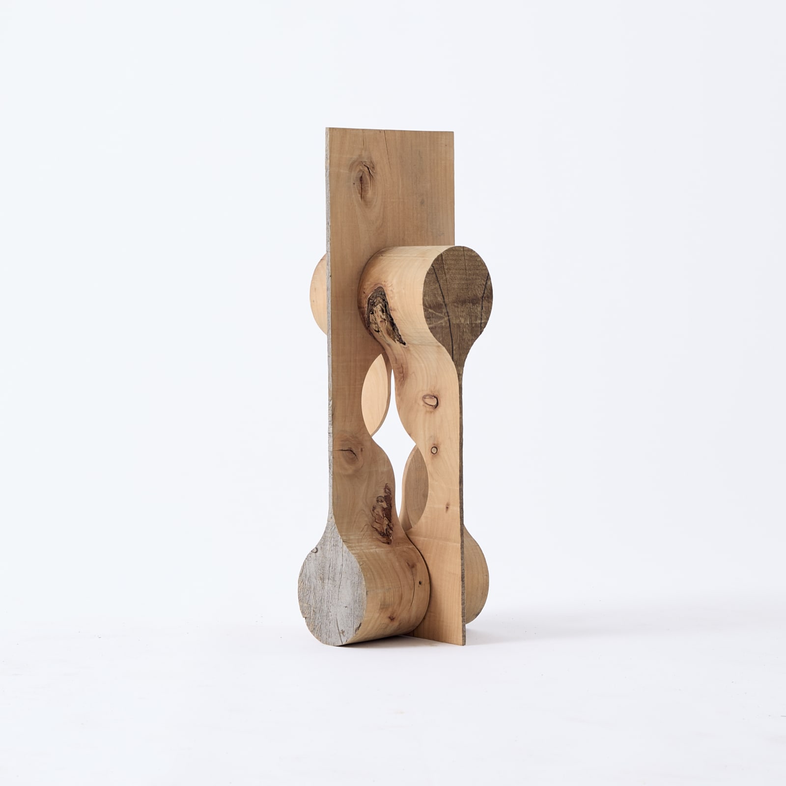 Nick Polansky, Hydra 01_, 2023