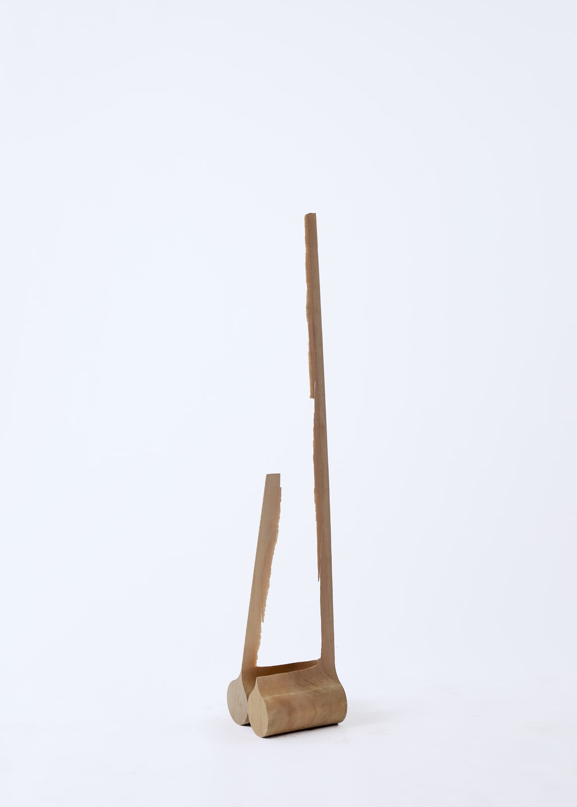 Nick Polansky, Hydra 05_, 204