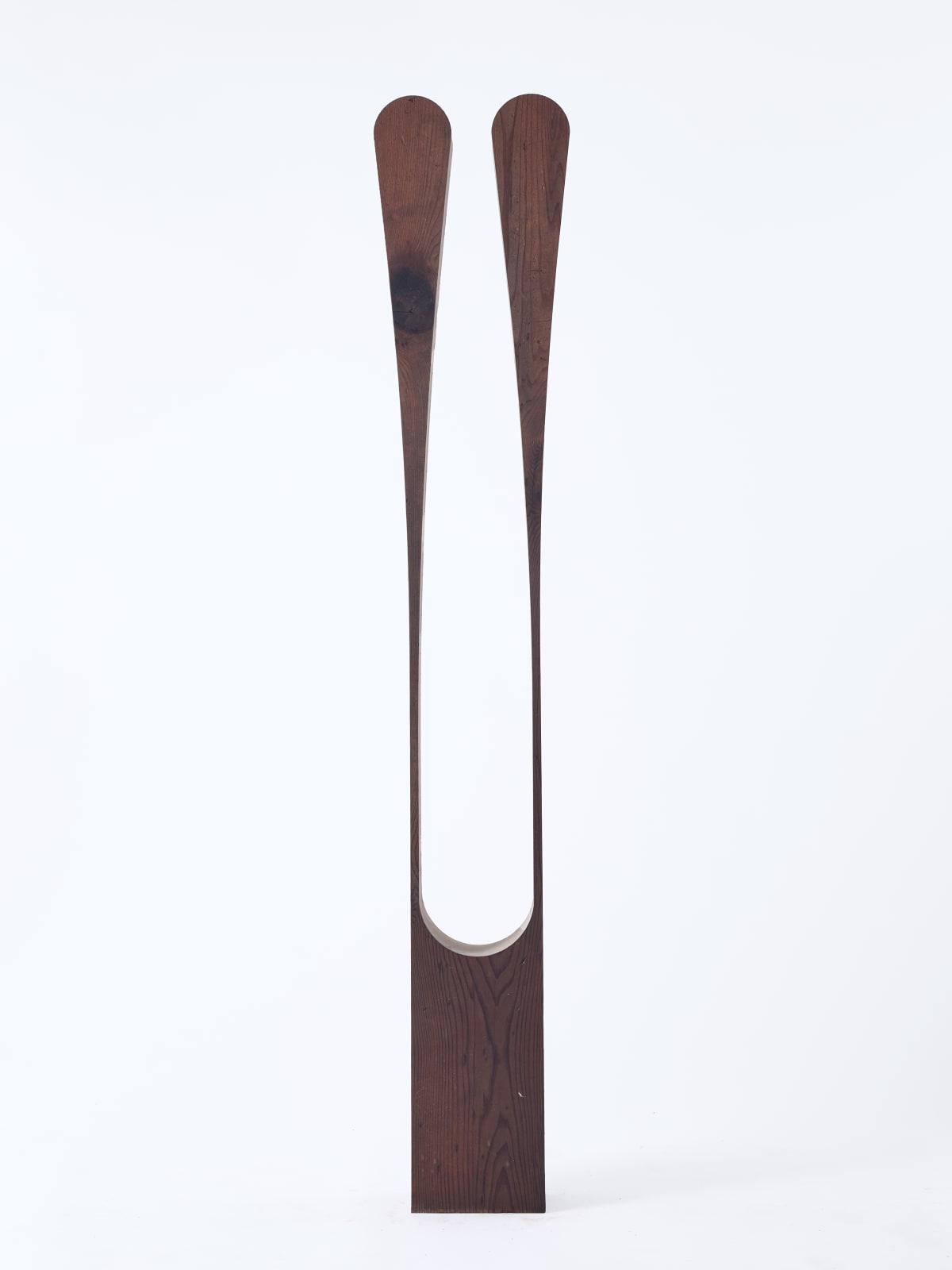 Nick Polansky, Hydra 08_, 2025