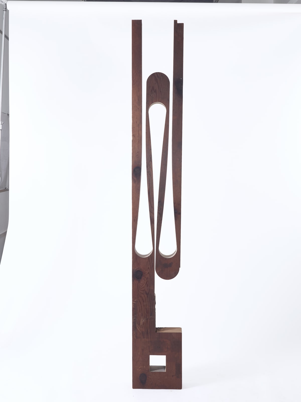 Nick Polansky, Hydra 08_, 2025