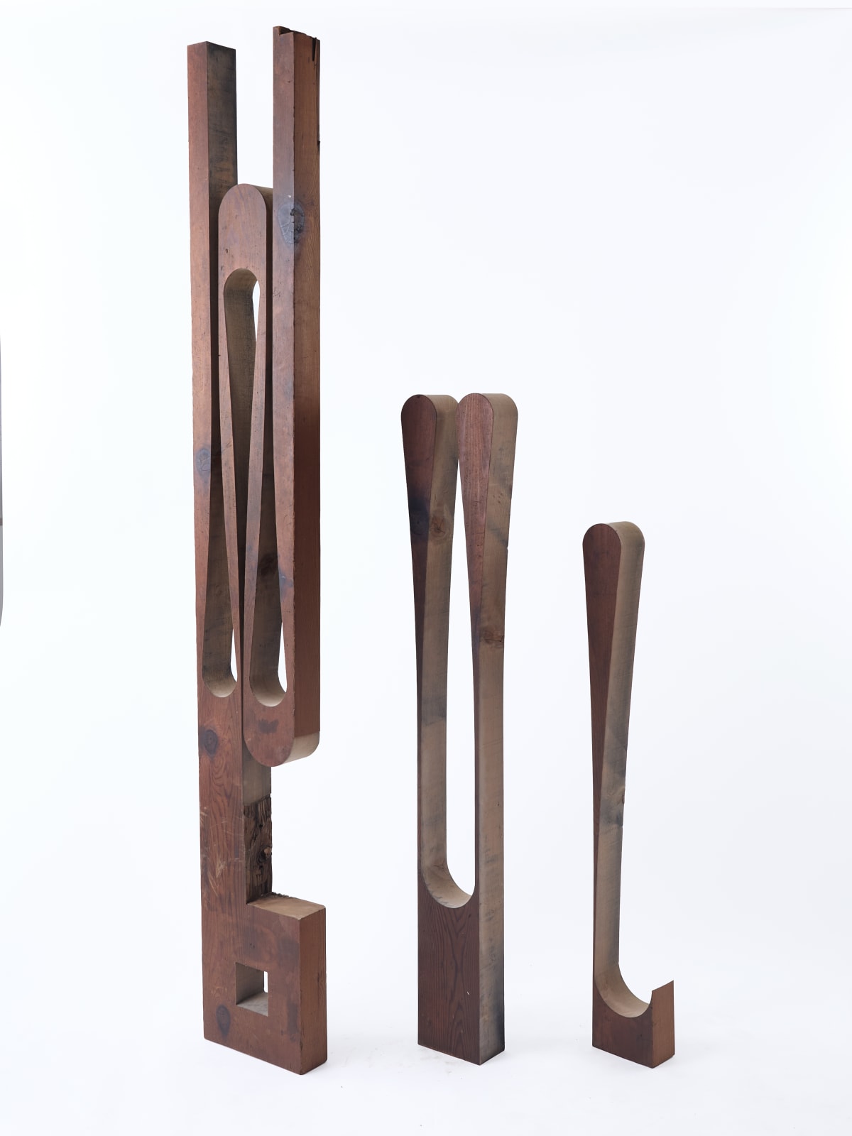 Nick Polansky, Hydra 08_, 2025