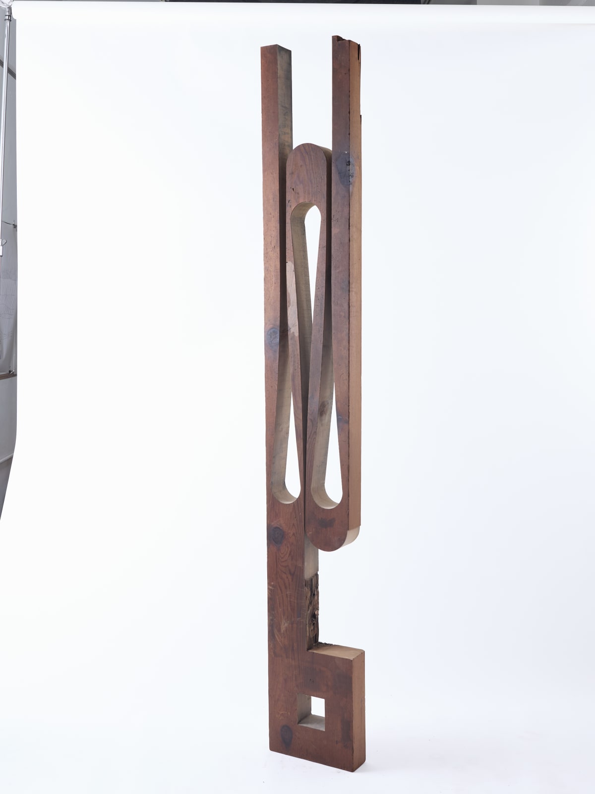 Nick Polansky, Hydra 08_, 2025